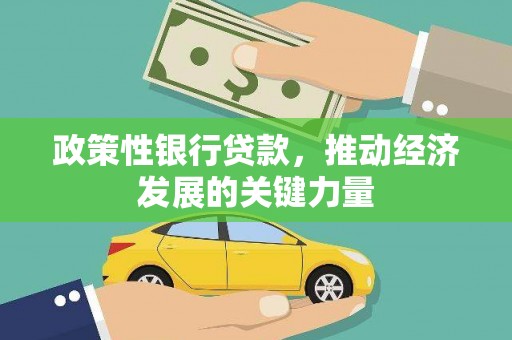 文县政策性银行贷款，推动经济发展的关键力量