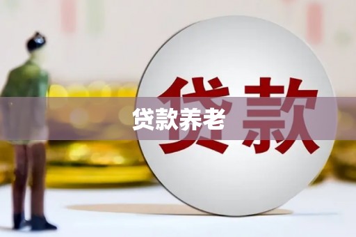 文县贷款养老