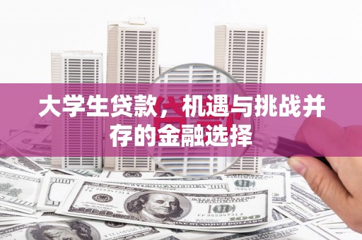 文县大学生贷款，机遇与挑战并存的金融选择