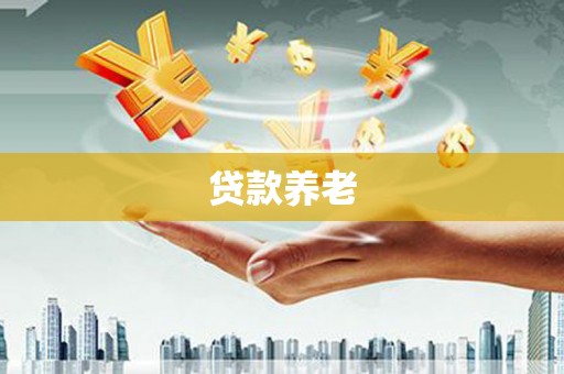 文县贷款养老