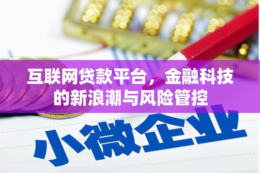 文县互联网贷款平台，金融科技的新浪潮与风险管控