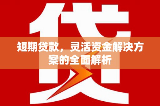 文县短期贷款，灵活资金解决方案的全面解析