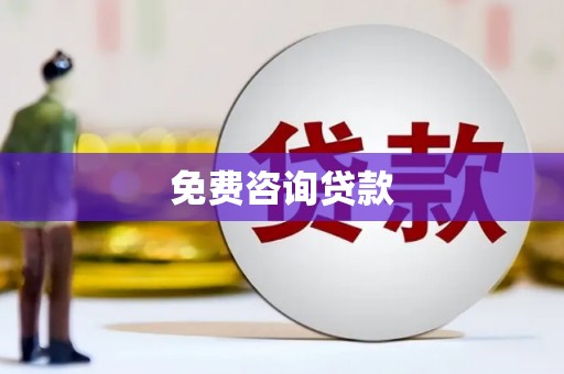 文县免费咨询贷款