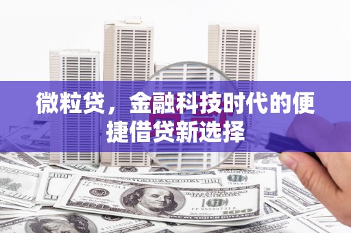 文县微粒贷，金融科技时代的便捷借贷新选择