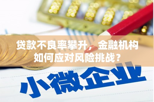文县贷款不良率攀升，金融机构如何应对风险挑战？