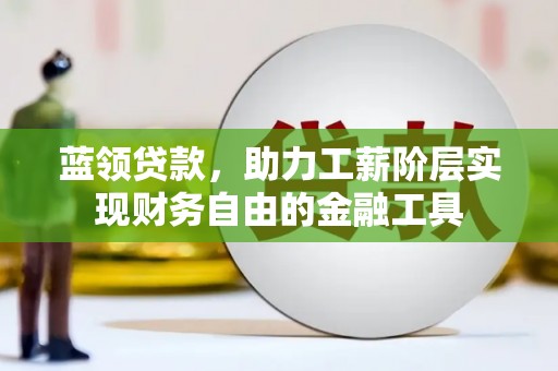 文县蓝领贷款，助力工薪阶层实现财务自由的金融工具