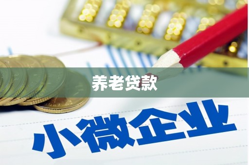 文县养老贷款