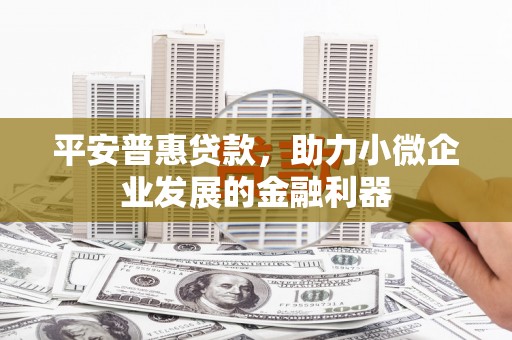 文县平安普惠贷款，助力小微企业发展的金融利器