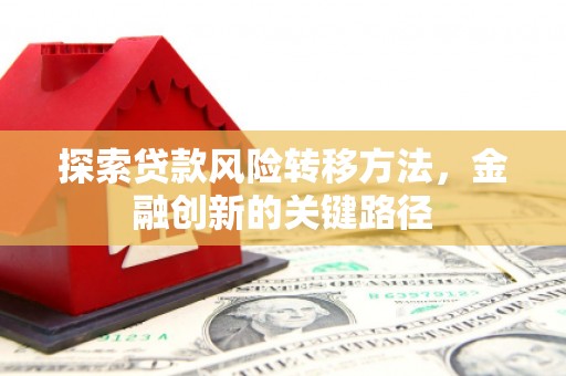 文县探索贷款风险转移方法，金融创新的关键路径