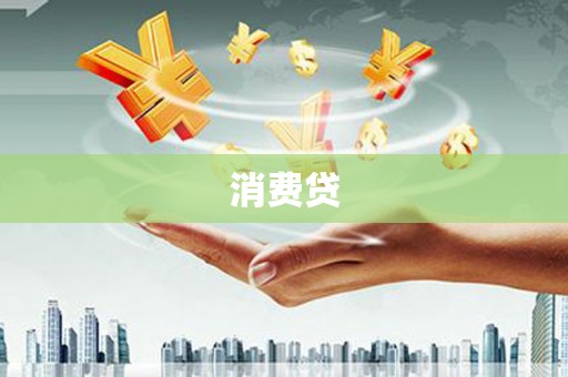 文县消费贷