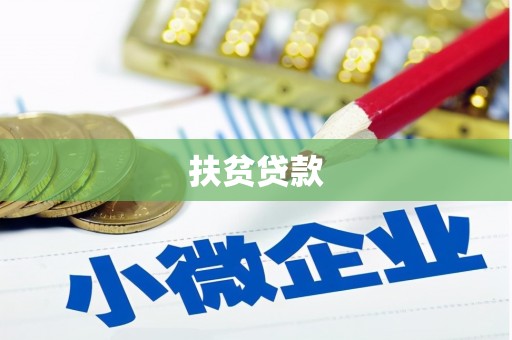 文县扶贫贷款